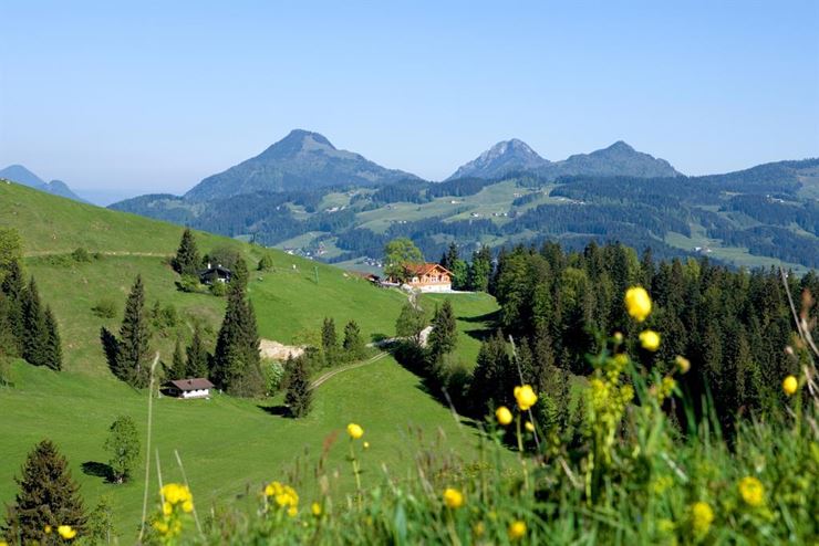 Alpengasthof AschingerAlm